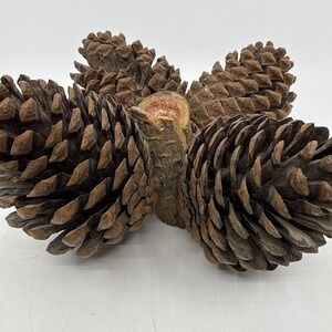 Pinecone & Tree Branch Homemade Candle‎ Holder Rustic Cabin Holiday